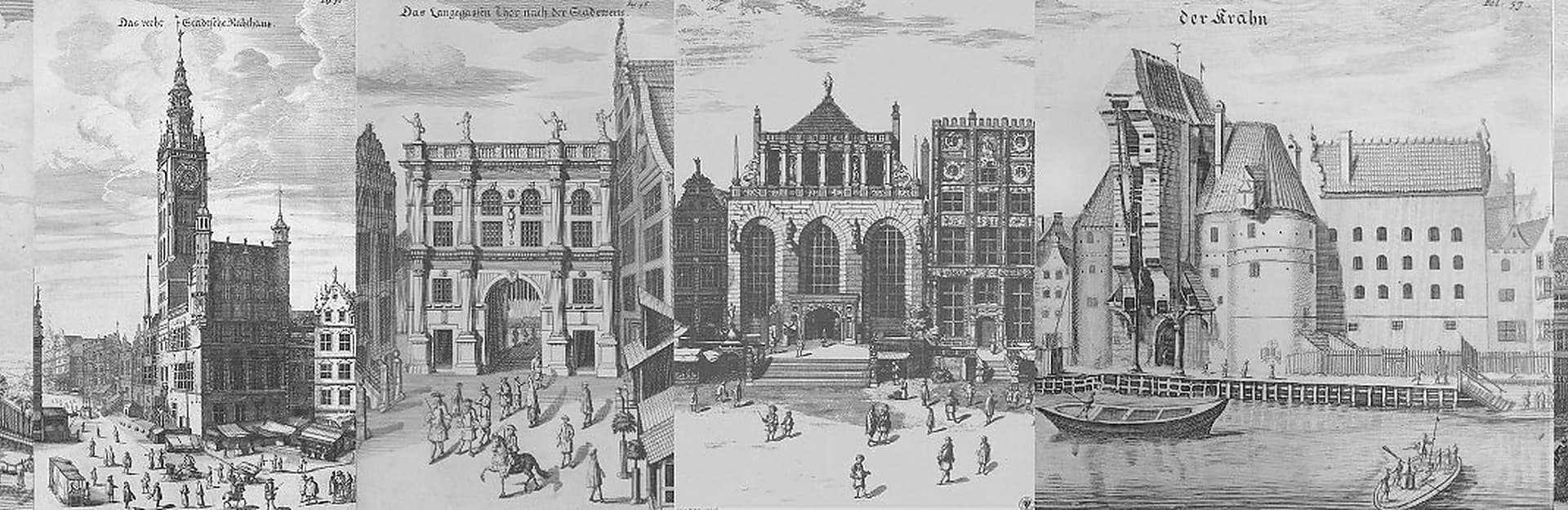 Obraz w tle wyszukiwarki