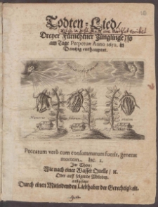 Todten=Lied, Dreyer Fürnehmer Jünglinge, so am Tage Perpetuæ Anno 1650. in Dantzig enthauptet