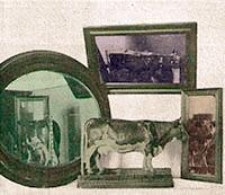 Mitteilungen der Deutschen Landwirtschafts-Gesellschaft Bd. 20, St&uuml;ck 1-52