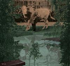 Mitteilungen der Deutschen Landwirtschafts-Gesellschaft Bd. 28, St&uuml;ck 1-52