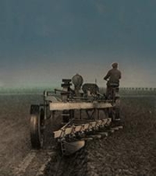 Mitteilungen der Deutschen Landwirtschafts-Gesellschaft Bd. 29, St&uuml;ck 1-52