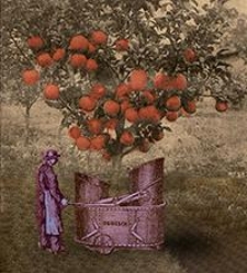 Mitteilungen der Deutschen Landwirtschafts-Gesellschaft Bd. 40, St&uuml;ck 1-52