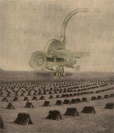 Mitteilungen der Deutschen Landwirtschafts-Gesellschaft Bd. 41, St&uuml;ck 1-52