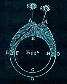 Dissertation sur la circulation de la seve dans les plantes : qui a remporte le Prix, au Jugement de l'Academie Royal des Belles Lettres, Sciences & Arts