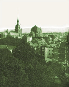 Der Städtebau. Monatschrift für die künstlerische Ausgestaltung der Städte..., 1905, Jg. 2