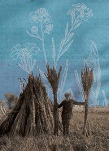 Mitteilungen der Deutschen Landwirtschafts-Gesellschaft Bd. 50, St&uuml;ck 1-52