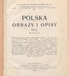 Polska : obrazy i opisy. T. 2