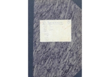 Atlas językowy kaszubszczyzny i dialekt&oacute;w sąsiednich, Sierakowice z.4