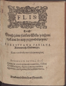 Flis To jest Spuszczanie statk&oacute;w Wisłą i inszymi rzekami