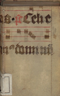 I Capitoli / Del Mauro Et Del Bernia Et Altri Avthori [...]