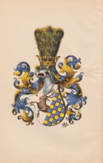 Beiträge zur Geschichte des uradeligen Geschlechts von Stojentin Pommerschen Ursprungs. Bd. 1, Urkunden und urkundliche Nachrichten