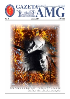 GazetAMG, 2011, R. 21, nr 11