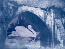 Berliner Architekturwelt : Zeitschrift für Baukunst, Malarei, Plastik und Kunstgewerbe der Gegenwart, Jg. 17 (1915)