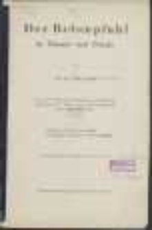 Der Betonpfahl in Theorie und Praxis