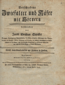 Verschiedene Zwiefalter und Käfer mit Hörnern