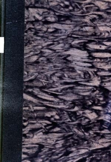 Medycyna Lotnicza w Polsce : biuletyn miesięczny "Lekarza Wojskowego" / następny tytuł: Polski Przegląd Medycyny Lotniczej : 1932