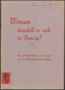Worum handelt es sich in Danzig? : Grundsätzliches zur Lage an der Weichselmündung