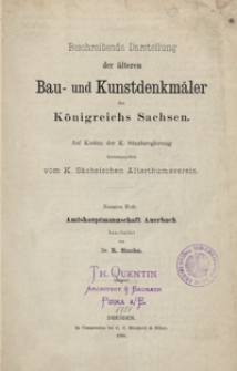 Beschreibende Darstellung der älteren Bau- und Kunstdenkmäler des Königreichs Sachsen. H. 9/10/11. Amtshauptmannschaft Auerbach. Amtshauptmannschaft Oelsnitz. Amtshauptmannschaft Plauern