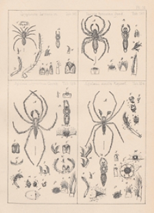 Schriften der Naturforschenden Gesellschaft in Danzig : neue Folge, Bd. 2, H. 1-4