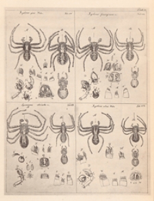 Schriften der Naturforschenden Gesellschaft in Danzig : neue Folge, Bd. 3, H. 1-4