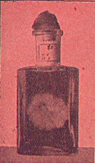 Schriften der Naturforschenden Gesellschaft in Danzig : neue Folge, Bd. 18, H. 1-4