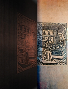 Fossilium Catalogus. I, Animalia. Pars 11: E. v. B&uuml;llow-Trummer, Cephalopoda dibranchiata