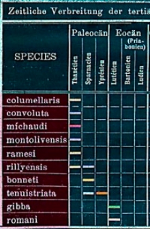 Fossilium Catalogus. I, Animalia. Pars 20