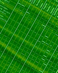 Fossilium Catalogus. I, Animalia. Pars 21