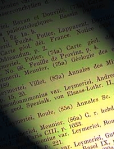 Fossilium Catalogus. I, Animalia. Pars 22