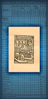 Fossilium Catalogus. I, Animalia. Pars 46: W. Wenz, Gastropoda extramarina tertiaria. IV: Prosobranchia II et index