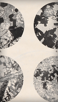 Földtani Közlöny : havi folyoirat : kiadja a Magyarhoni Földtani Társulat. Bd. 60