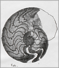 Földtani Közlöny : havi folyoirat : kiadja a Magyarhoni Földtani Társulat. Bd. 57