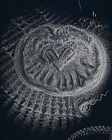 Annales de la Société Geologique de Belgique. T. 8