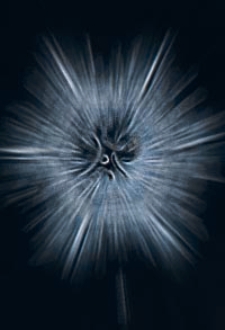 Annales de la Société Geologique de Belgique. T. 10