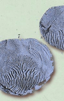 Annales de la Société Geologique de Belgique. T. 15