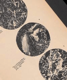 Annales de la Société Geologique de Belgique. T. 17