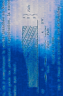 Annales de la Société Geologique de Belgique. T. 31