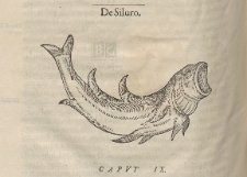 Gvlielmi Rondeletii Doctoris Medici [...] Libri de Piscibus Marinis [...]. T. 2