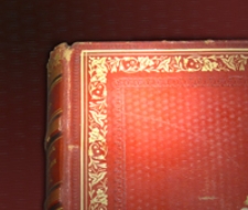 Die Schmetterlinge von Europa. Bd. 5. Abt. 1. [Nachtschmetterlinge : G. Acronycta - Miselia]