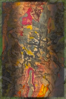 Jahrbuch der Geologischen Bundesanstalt. Bd. 88/89