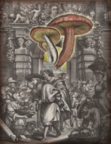 Theatrum fungorum oft het tooneel der campernoelien ... beschreve door Franciscus van Sterbeeck