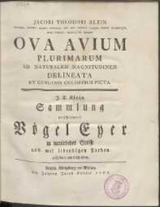 Jacobi Theodori Klein [...] Ova Avium Plurimarum Ad Naturalem Magnitudinem Delineata Et Genuinis Coloribus Picta = J. T. Klein Sammlung verschiedener Vögel Eyer in natürlicher Grösse und mit lebendigen Farben geschildert und beschrieben.