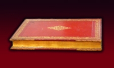 Die Schmetterlinge von Europa. Bd. 7. [Zuensler : G. Herminia - Ennychia]