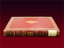 Die Schmetterlinge von Europa. Bd. 10. Abt. 1. Erste Abtheilung der Supplemente : G. Melitaea - Eyprepia