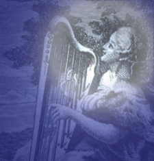 Schau-Platz der Natur, oder: Unterredungen von der Beschaffenheit und den Absichten der Naturlichen Dinge, wodurch die Jugend zu weiterm Nachforschen aufgemuntert, und auf richtige Begriffe von der Allmacht und Weissheit Gottes gefuhret wird. T. 5, Worinnen der Mensch an sich selbst, dessen Beruf und Geschicklichkeit betrachtet wird