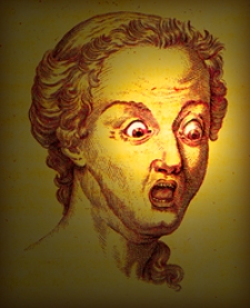 Allgemeine Historie der Natur nach allen ihren besondern Theilen abgehandelt; nebst einer Beschreibung der Naturalienkammer Sr. Majestat des Koniges von Frankreich, mit einer Vorrede Herrn Doctor Albrecht von Haller. T. 1