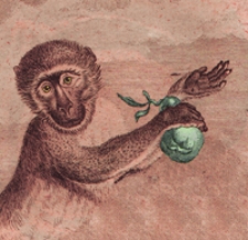 Allgemeine Historie der Natur nach allen ihren besondern Theilen abgehandelt; nebst einer Beschreibung der Naturalienkammer Sr. Majestat des Koniges von Frankreich. T. 7. Bd. 1,2