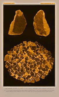 Mineral Resources of the United States 1902