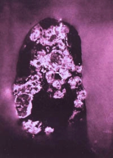 Mineral Resources of the United States 1912 Part 1