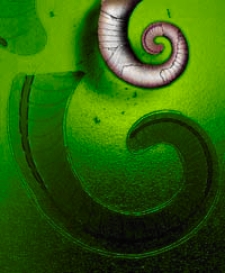 Geologiska Föreningens i Stockholm Förhandlingar ; 1898, Bd. 20, H. 1-7